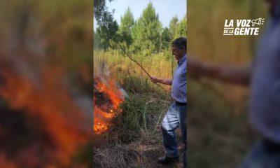 Filman al intendente de Wanda apagando incendio forestal con una rama