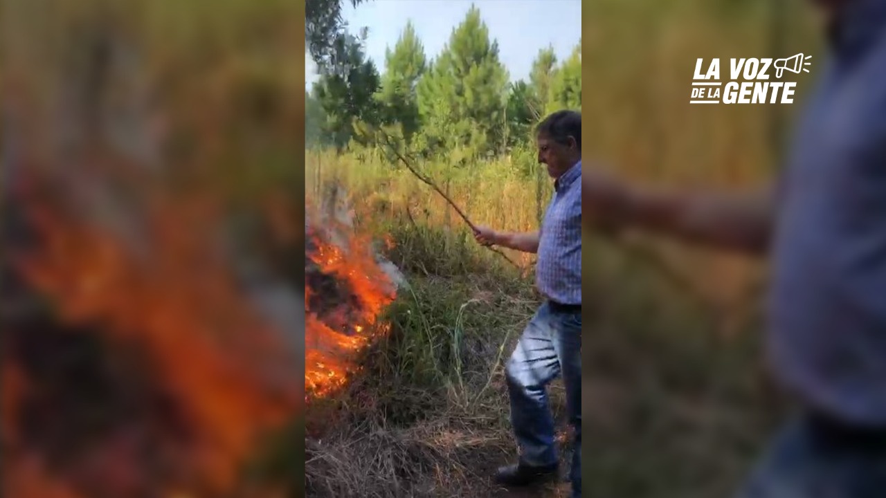 Filman al intendente de Wanda apagando incendio forestal con una rama