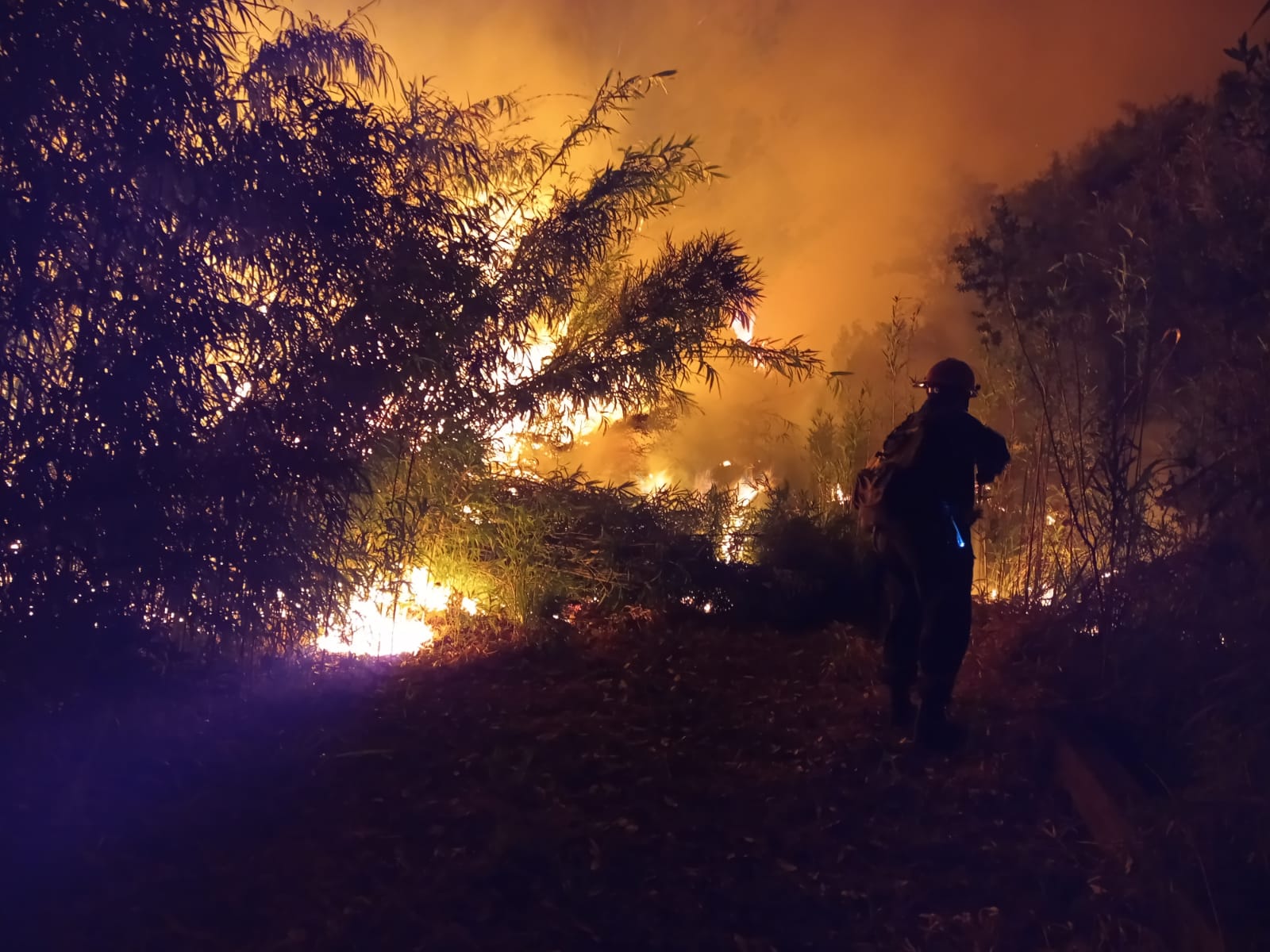 incendios