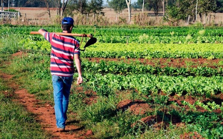 Emergencia agropecuaria: créditos hasta $100 mil para productores misioneros