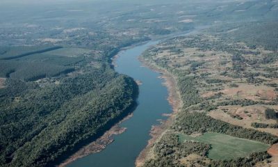 bajante paraná