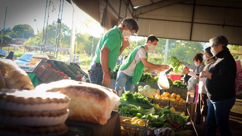 alimentos