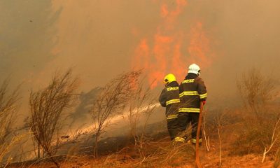 El Movimiento Evita propuso sumar a 564 personas como bomberos voluntarios ante los graves incendios forestales