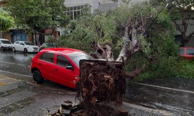 Temporal Posadas