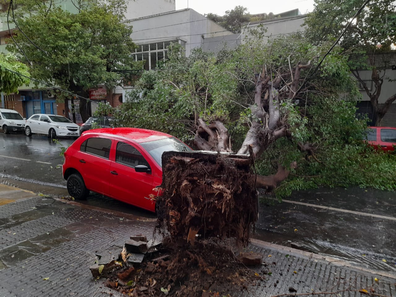 Temporal Posadas