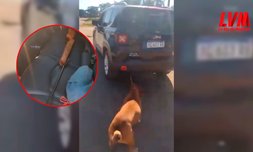 Arrastraba a un perro con su 4x4 y vecinos lo rescataron