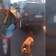 Arrastraba a un perro con su 4x4 y vecinos lo rescataron