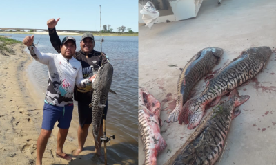 Corrientes pesca extractiva