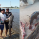 Corrientes pesca extractiva