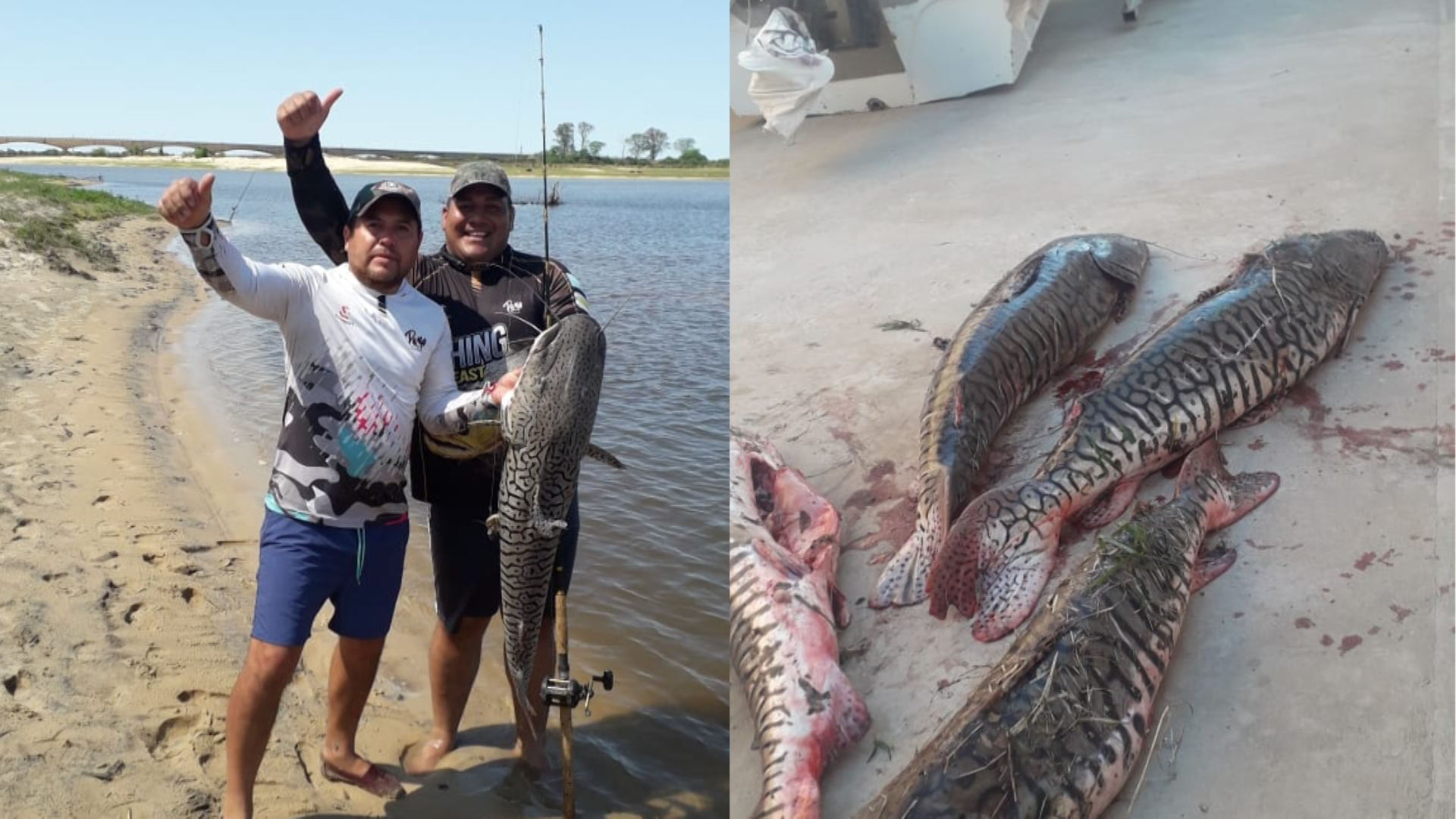 Corrientes pesca extractiva