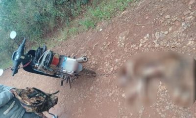 Arrastraba con una moto a su perro y lo detuvieron en Campo Grande