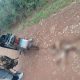 Arrastraba con una moto a su perro y lo detuvieron en Campo Grande