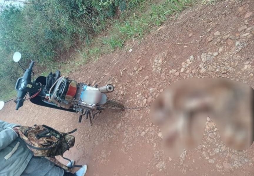 Arrastraba con una moto a su perro y lo detuvieron en Campo Grande