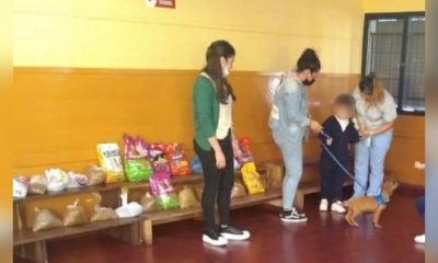 Da charlas sobre maltrato animal en escuelas a cambio de alimento para rescatados