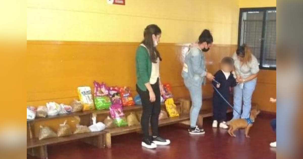 Da charlas sobre maltrato animal en escuelas a cambio de alimento para rescatados