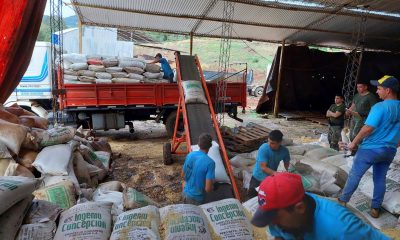 A través del Inaes cooperativa de agricultores convierte en alimento balanceado granos decomisados