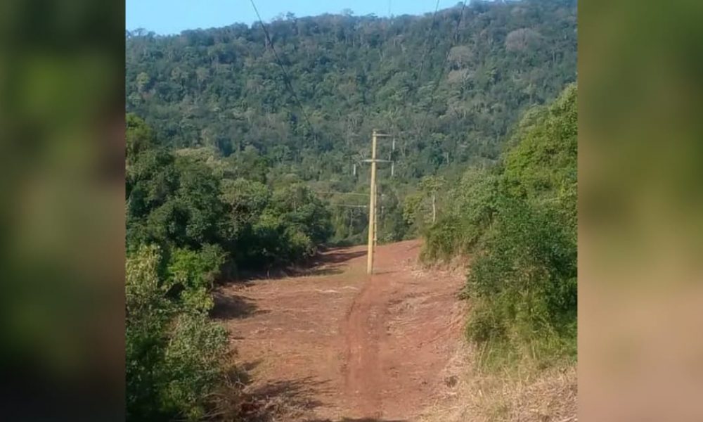 Comunidades mbya piden que Emsa explique "limpieza excesiva" en Valle Cuña Pirú