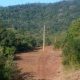Comunidades mbya piden que Emsa explique "limpieza excesiva" en Valle Cuña Pirú