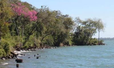 El Montecito de Villa Cabello, una nueva área de Reserva Natural Urbana