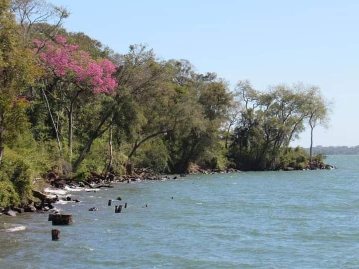 El Montecito de Villa Cabello, una nueva área de Reserva Natural Urbana