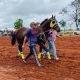 Sacrificaron caballo que participó en carrera en el Hipódromo Posadas