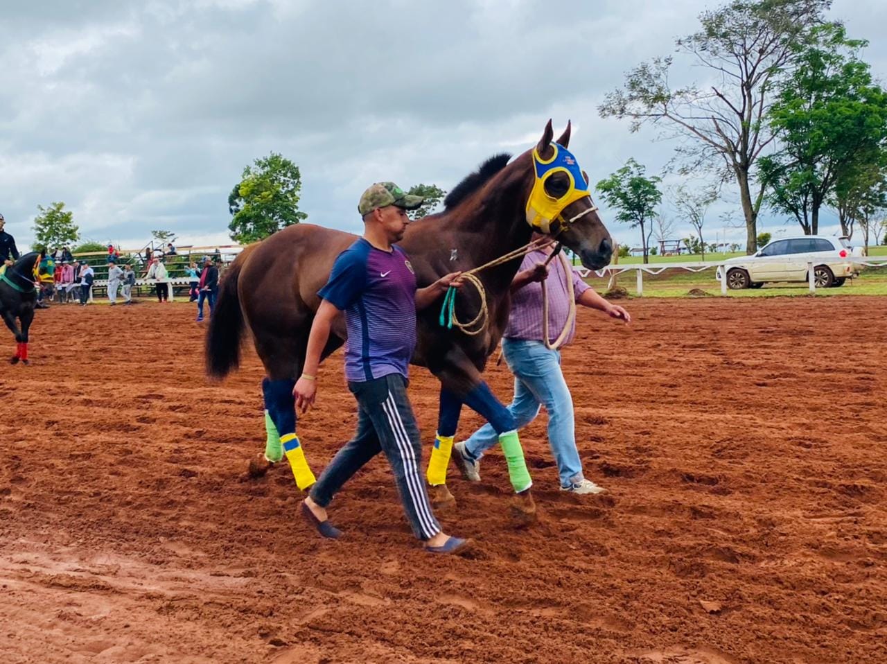 Sacrificaron caballo que participó en carrera en el Hipódromo Posadas