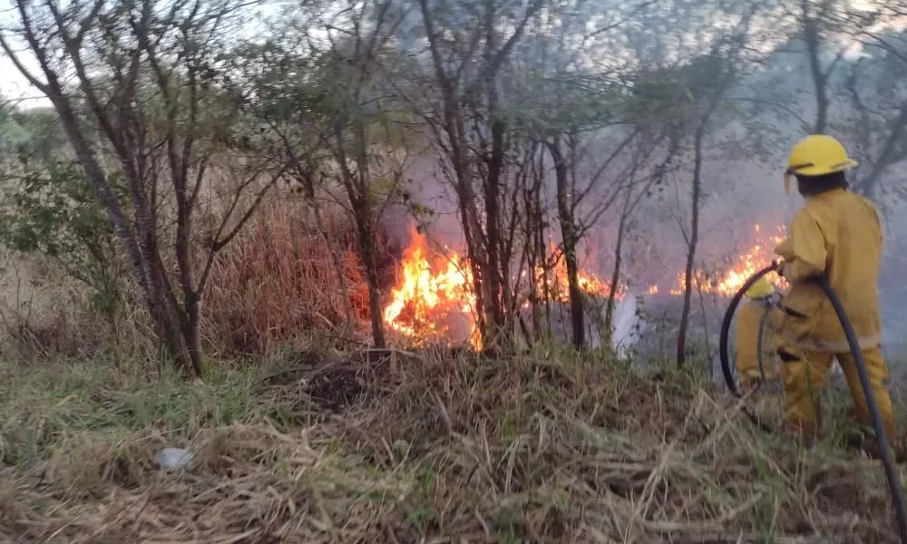 Índice alto de riesgo de incendios en el Sur de la provincia