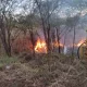 Índice alto de riesgo de incendios en el Sur de la provincia