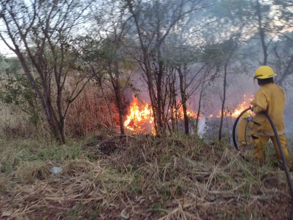 Índice alto de riesgo de incendios en el Sur de la provincia