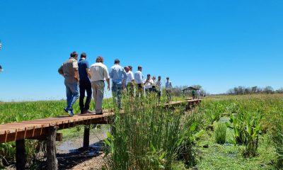 Se inauguraron las pasarelas del "Sendero Aguará", Portal Cambyretá