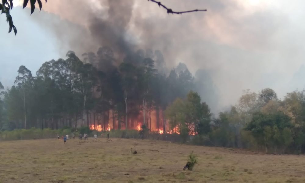 Riesgo de incendio extremo en Misiones: se esperan lluvias el sábado