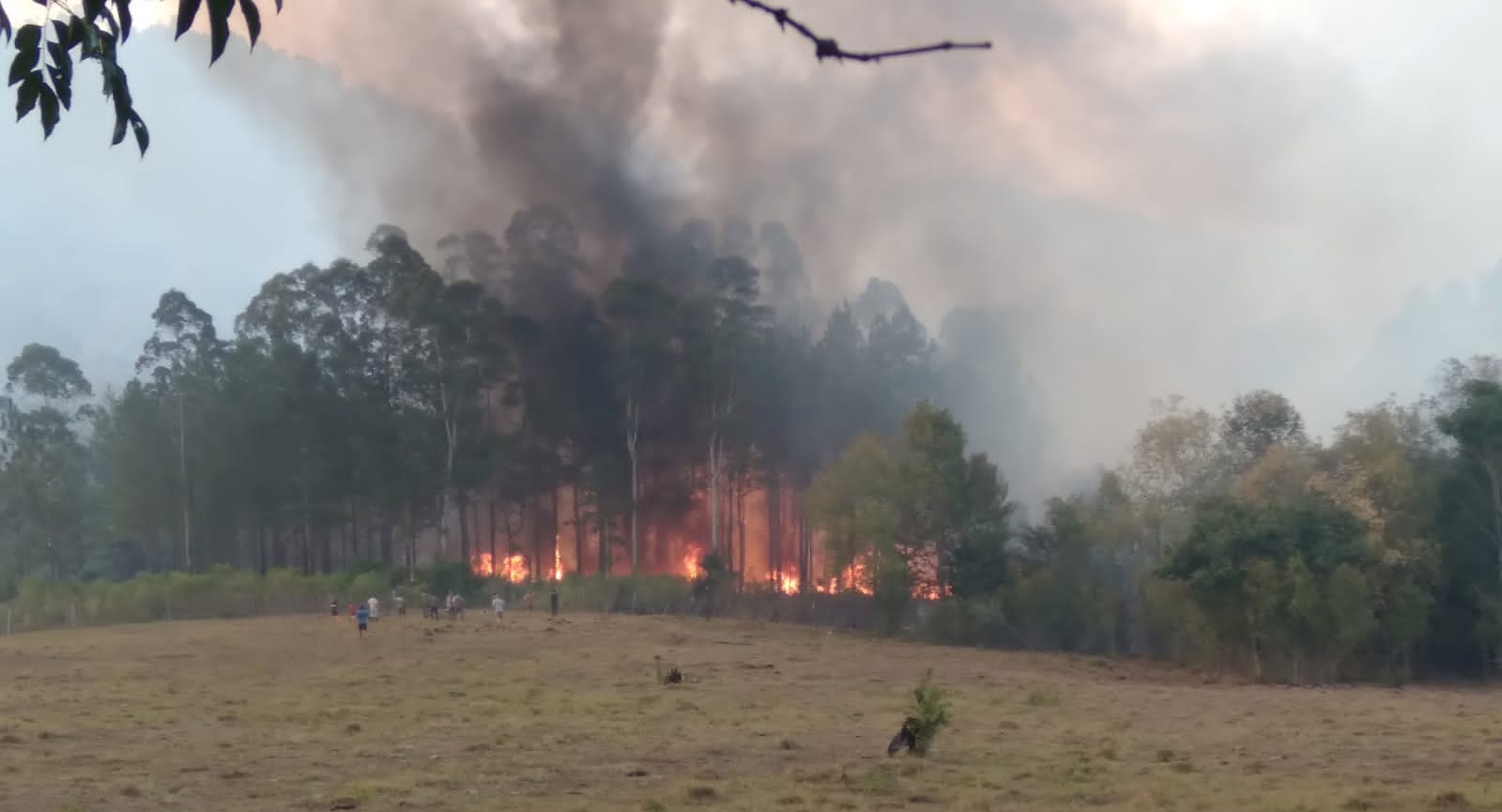 Riesgo de incendio extremo en Misiones: se esperan lluvias el sábado