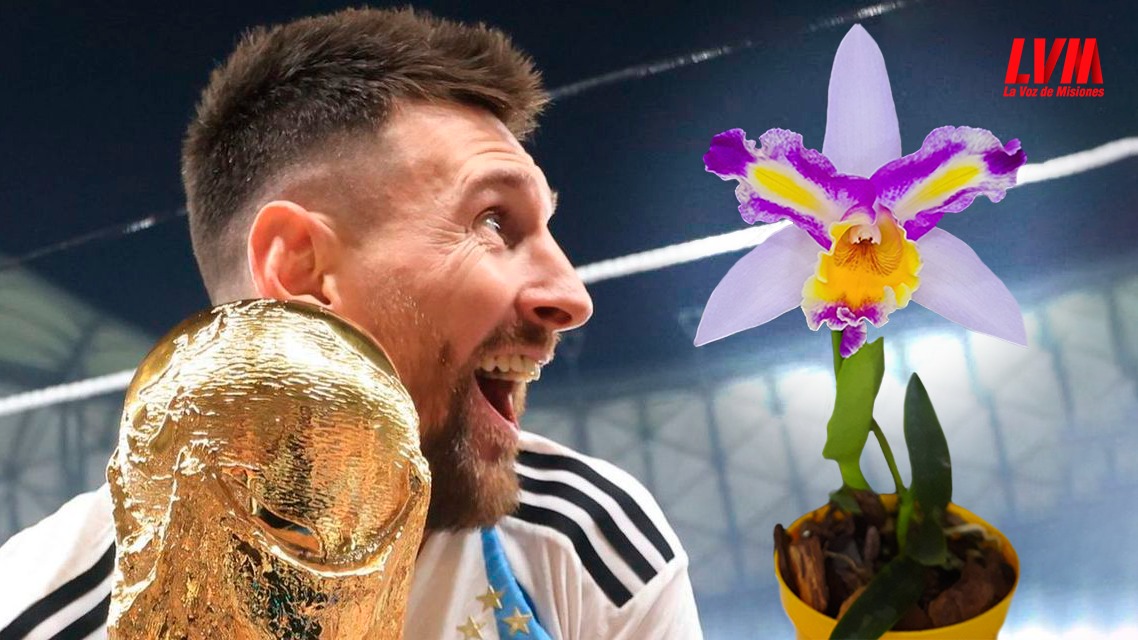 Obereño creó la orquídea Lionel Messi y la registró en Inglaterra