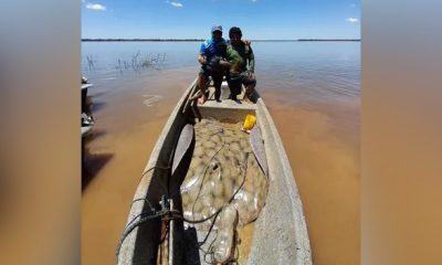 Paraná pescador