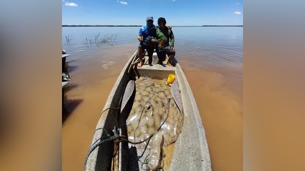 Paraná pescador