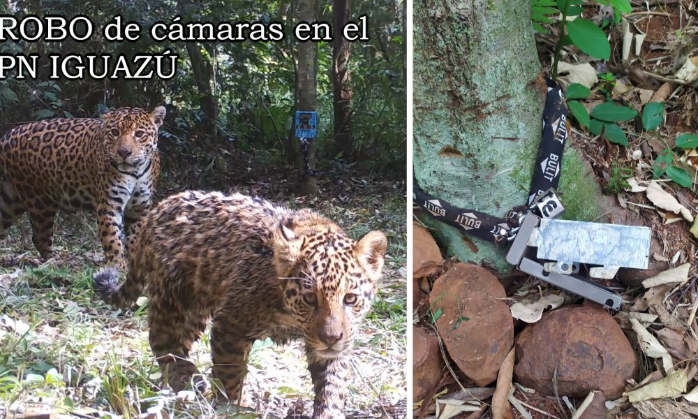 ONG pide seguridad en Parque Iguazú por estar "expuesto a actos vandálicos"