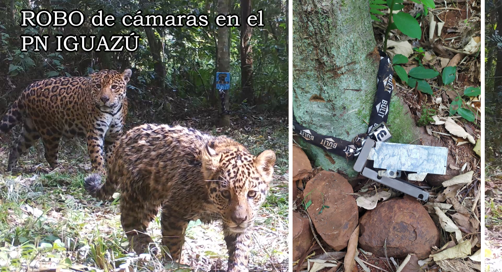 ONG pide seguridad en Parque Iguazú por estar "expuesto a actos vandálicos"