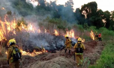 peligro de incendios