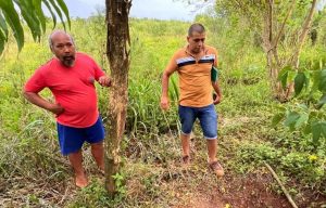 Subsecretaría de Tierras otorgó permiso de ocupación a cooperativa de Azara que produce alimentos