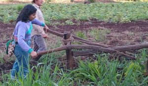 Estudiantes de Agronomía de la UBA realizaron pasantías por acuerdo entre un Frente Universitario, MNCI y Mocase