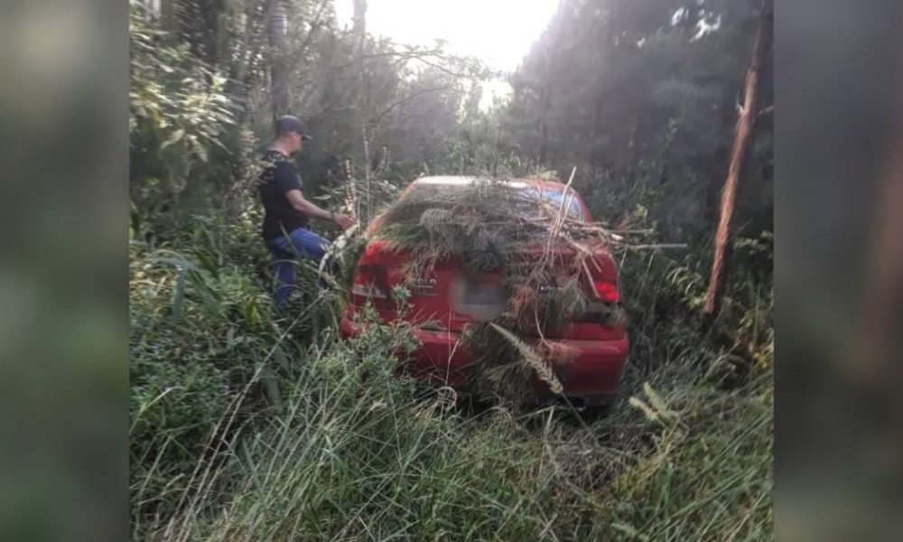 cuñado auto robado