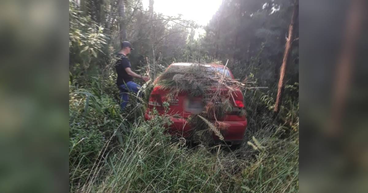 cuñado auto robado