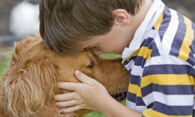 Brindan taller sobre cuidado animal para ayudar a rescatista con discapacidad