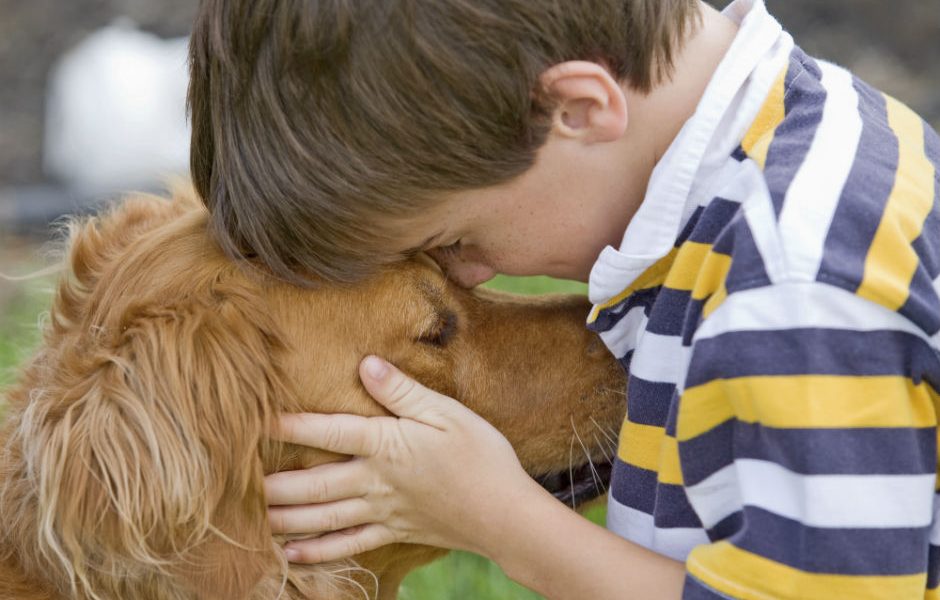 Brindan taller sobre cuidado animal para ayudar a rescatista con discapacidad