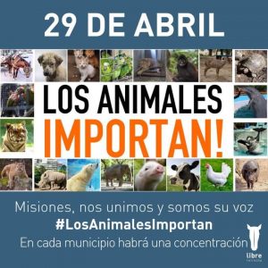 Activistas misioneros se movilizan mañana por el Día del Animal: "Somos su voz"