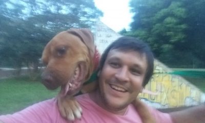 Murió Papo, el pitbull rescatado del maltrato en 2018 en Eldorado