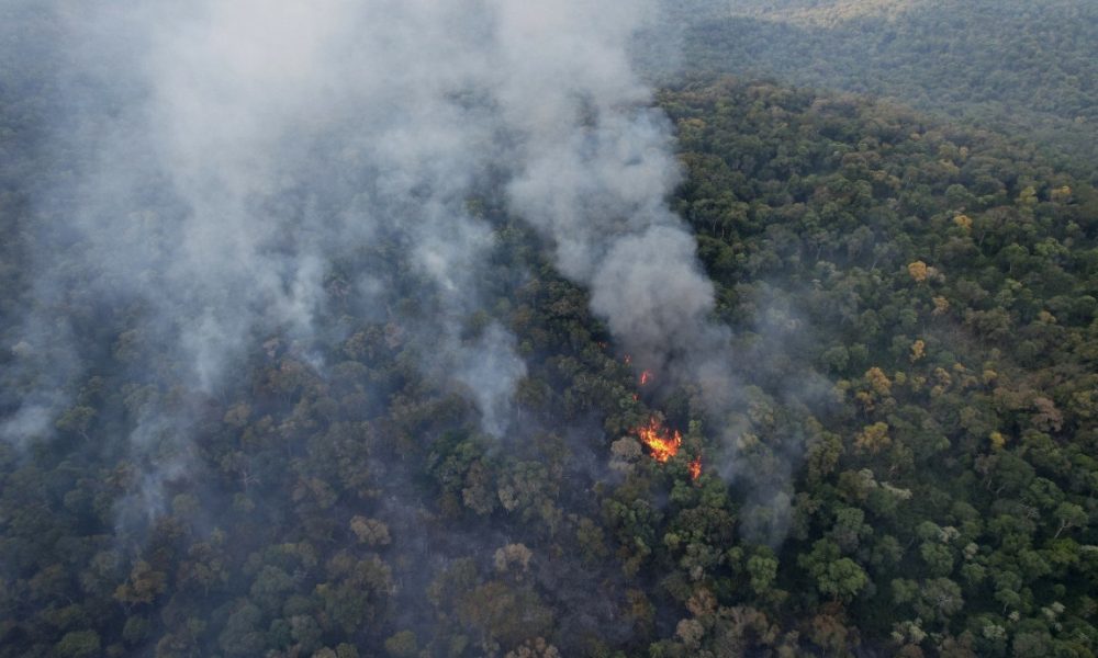 juzgado ambiental