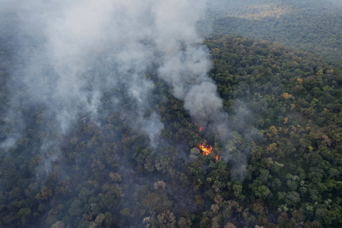 juzgado ambiental