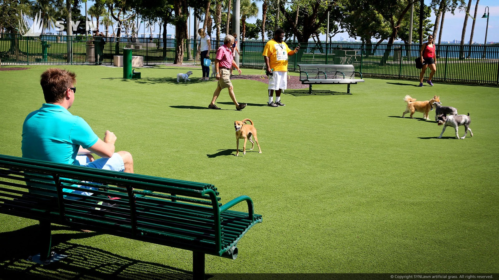 parque para perros