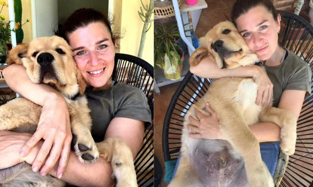 Su perro se escapó hace una semana en Ñu Porá: "No quiero que sufra"